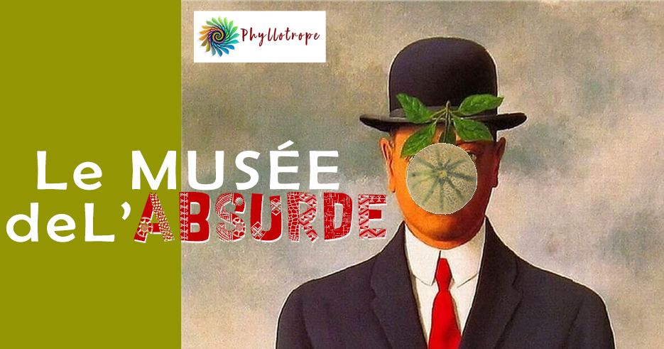 musee-absurde-agenda2